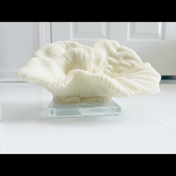 SOLD - Picture 3 of 3